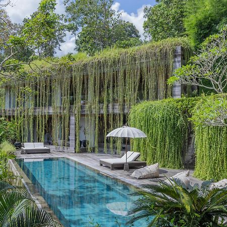 Chameleon Villa Bali Selemadeg 外观 照片