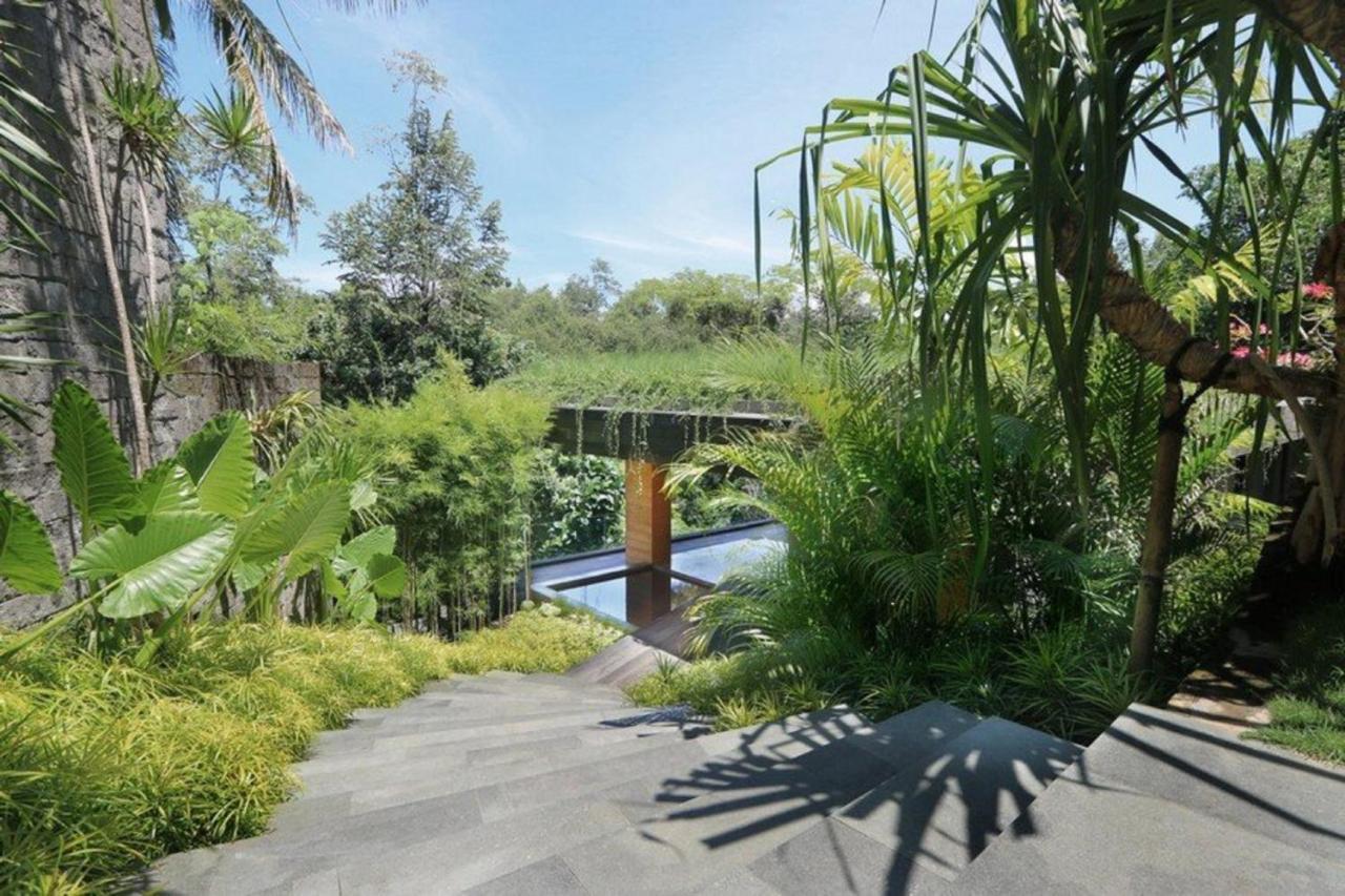 Chameleon Villa Bali Selemadeg 外观 照片