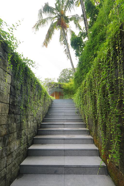 Chameleon Villa Bali Selemadeg 外观 照片
